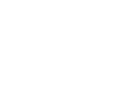 OAF logo white transparent